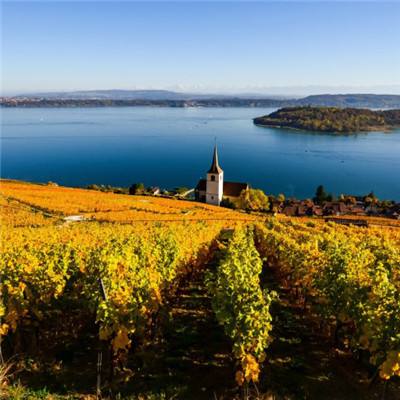 欧意交易所下载