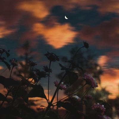 江南娱乐jn平台下载